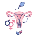 Donor Sperm IVF Treatment Options
