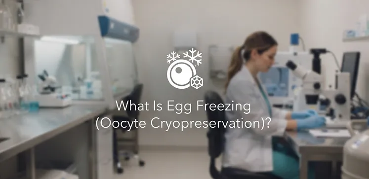 What Is Egg Freezing (Oocyte Cryopreservation)